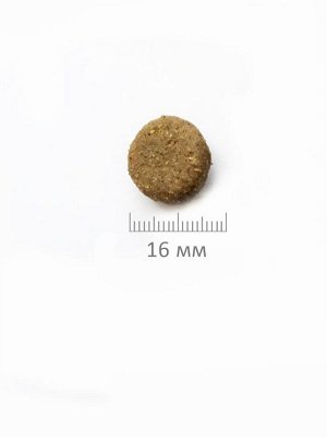 ProBalance Adult Light корм сухой для собак с индейкой, 2 кг 1/4