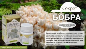 Секрет бобра с ежовиком. Метаболитный комплекс  восстановительного действия на нейроны и нервную ткань, активность иммунных клеток.