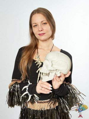 череп Белый пластиковый, 19х16х15 см
