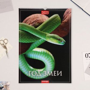 Календарь перекидной на ригеле А3 «Год Змеи» 2025, 42x60 см