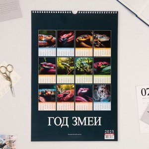 Календарь перекидной на ригеле А3 «Год Змеи» 2025, 32x48 см
