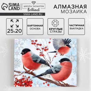 Алмазная мозаика на новый год с частичным заполнением «Снегири», 20x25 см, набор для творчества