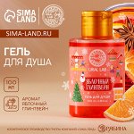 Новогодний гель для душа, 100 мл, аромат яблочного глинтвейна, Новый Год