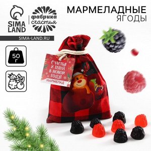 Мармелад в мешке «Счастья и тепла», в виде ягод, 50 г