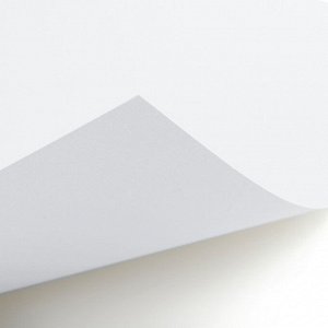 Картон белый, А4, 8 листов, мелованный, односторонний, в папке, 210, г/м², «Коты аристократы»