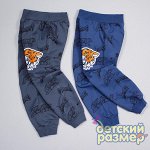 Брюки для мальчиков
