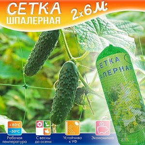 Сетка шпалерная, садовая, подвязка для вьющихся растений, 2 x 6 м
