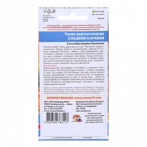 Семена Тыква "Сладкие караваи", 5 шт.