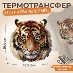 Термотрансфер «Тигр акварельный», 19,4 х 18,9 см, цена за 1 штуку