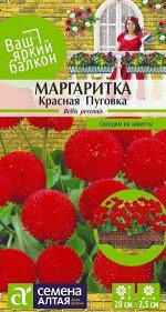 Цветы Маргаритка Красная Пуговка помпонная/Сем Алт/цп 0,05 гр. Ваш яркий балкон