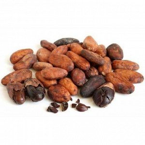 Какао бобы необжаренные ферментированные, Колумбия (ароматический сорт Fino de Aroma),500 г