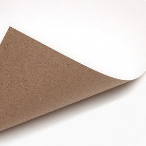 Картон белый, А4, 8 листов, немелованный, односторонний, в папке, 220, г/м², Холодное сердце