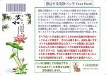 Токсиновыводящие пластыри с лотосом и вулканическим пеплом Japan
