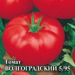 Томат Волгоградский 5/95  5,0 г