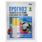 Средство от болезний растений &quot;Прогноз&quot; 10 мл (флакон)