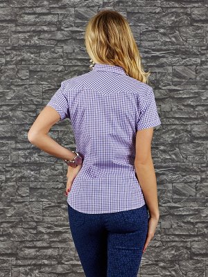 Рубашка Состав: 100% Cotton Цвет: pink/blue Длина: 69 Длина рукава: 17