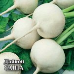 Дайкон Саша 10,0 г