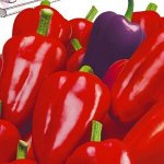 Перец Бухарест 5,0 г