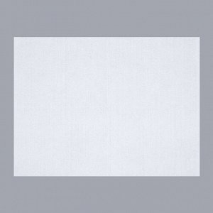 Полотенце для животных впитывающее, 60 х 80 см, 70 г/м? , одноразовое