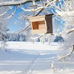 Кормушка для птиц 31 х 21,5 х 18 см (в сборе)