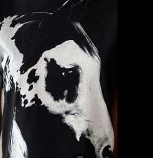 Футболка TROPHY T-SHIRT pinko