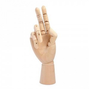 Модель "рука", 25 см., женская правая, DK16604