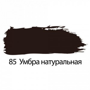 Краска акриловая художественная BRAUBERG туба 75мл, профессиональная серия, умбра натуральная