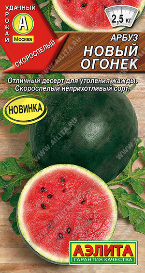 Арбуз Новый огонек