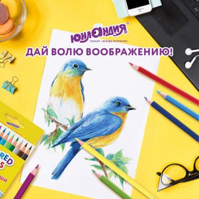 BRAUBERG-HATBER — школа и творчество. Все для рисования