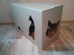 Картонный домик для кошки (под маленькую когтеточку)