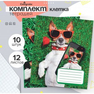 Набор тетрадей 12 листов в клетку Calligrata «СелфиDOG», обложка мелованная бумага, МИКС, 10 шт.