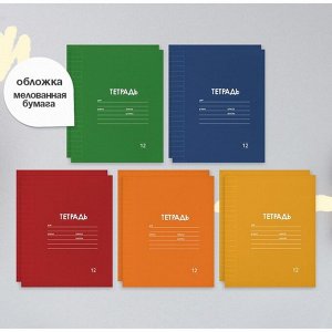 Набор тетрадей 12 листов в узкую линейку Calligrata «Однотонная Классика», обложка мелованная бумага, серые листы