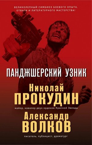 Прокудин Н.Н., Волков А.И. Панджшерский узник