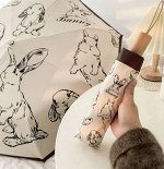 Зонты и дождевики, ледоступы