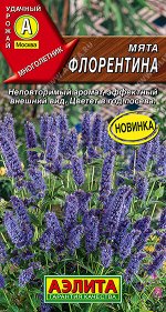 Мята Флорентина