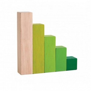 Блоки деревянные «Классификация»