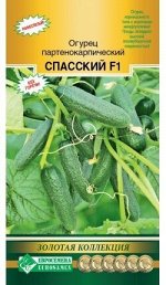 Огурец партенокарпический Спасский F1 (3 шт
