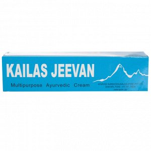 Лечебный бальзам-крем, 20 гр. 34735.11 (Kailas jeevan)