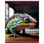Тетрадь предметная БИОЛОГИЯ, КЛЕТКА, 48 листов,  А5, справочная информация, серия &quot;Фотосфера&quot;