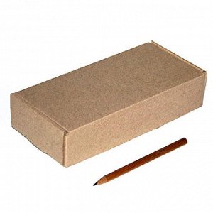 Коробка микрогофра 05/001-93 прямоугольник 19,5 х 8,5 х 4 см