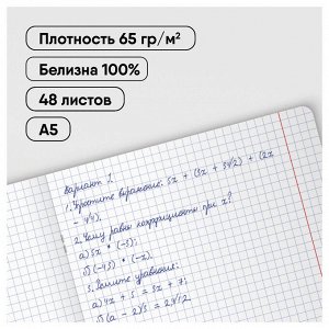 Комплект (10 шт.) предметных тетрадей 48л. BG ""Monocolor. Perfection"", печать пантоном, мат. ламинац
