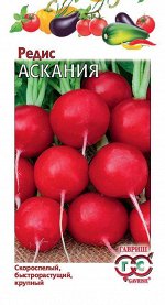 Редис Аскания (Германия) 2,0 г