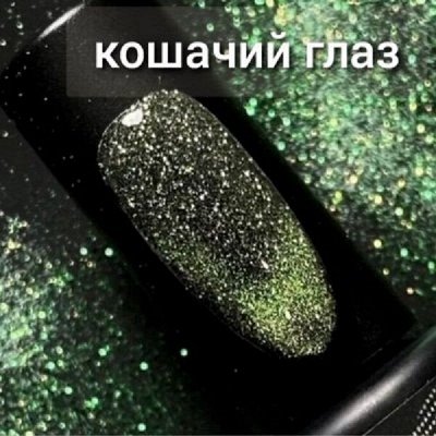 Любимые кошки, Новинки
