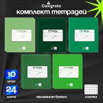 Комплект тетрадей из 10 штук, 24 листа в клетку Calligrata &quot;Однотонная Новая Школьная&quot;, обложка мелованная бумага, ВД-лак, блок офсет, 5 видов по 2 штуки