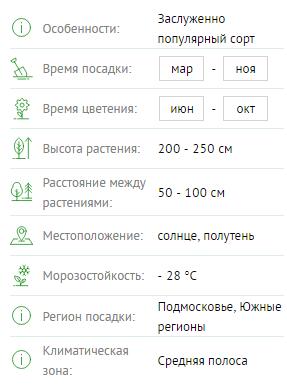 Роза плетистая Нью Доун