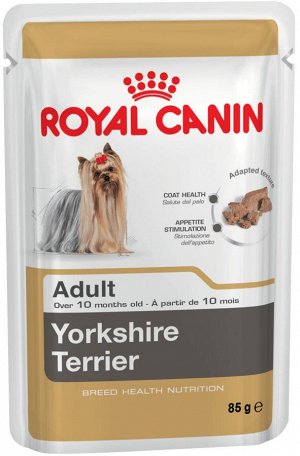 Yorkshire terrier (йоркширский терьер)