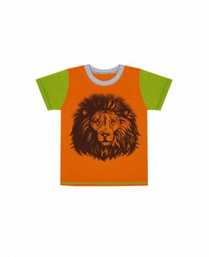 Оранжевая футболка для мальчика Цвет: оранж