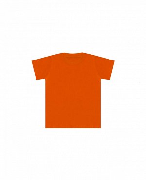 Футболка оранжевая для мальчика Цвет: оранж