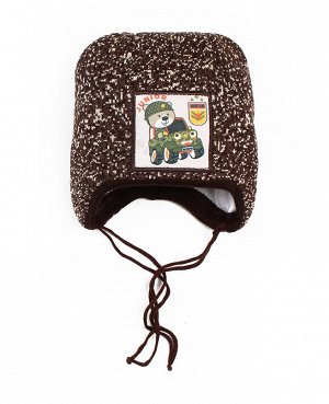 Детская зимняя шапка для мальчика Цвет: коричневый