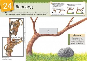 Оживи картинку! Животные. KUMON